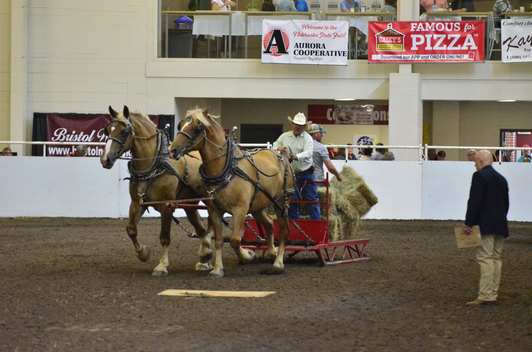 8-25-19 Draft Horse Hitch Final (5).JPG